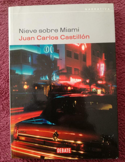 nieve sobre miami jose castillon