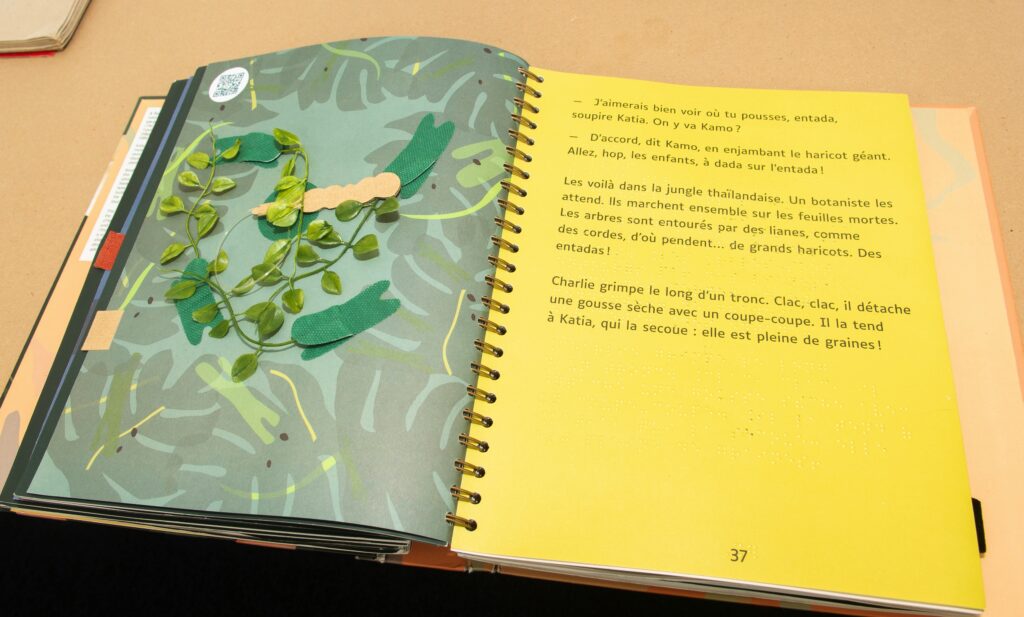 “Relatos de Diversidad: Colección IBBY de Libros Accesibles” en el ICPNA 2 DSC6946