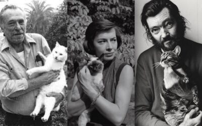 Los misteriosos gatos de la poesía