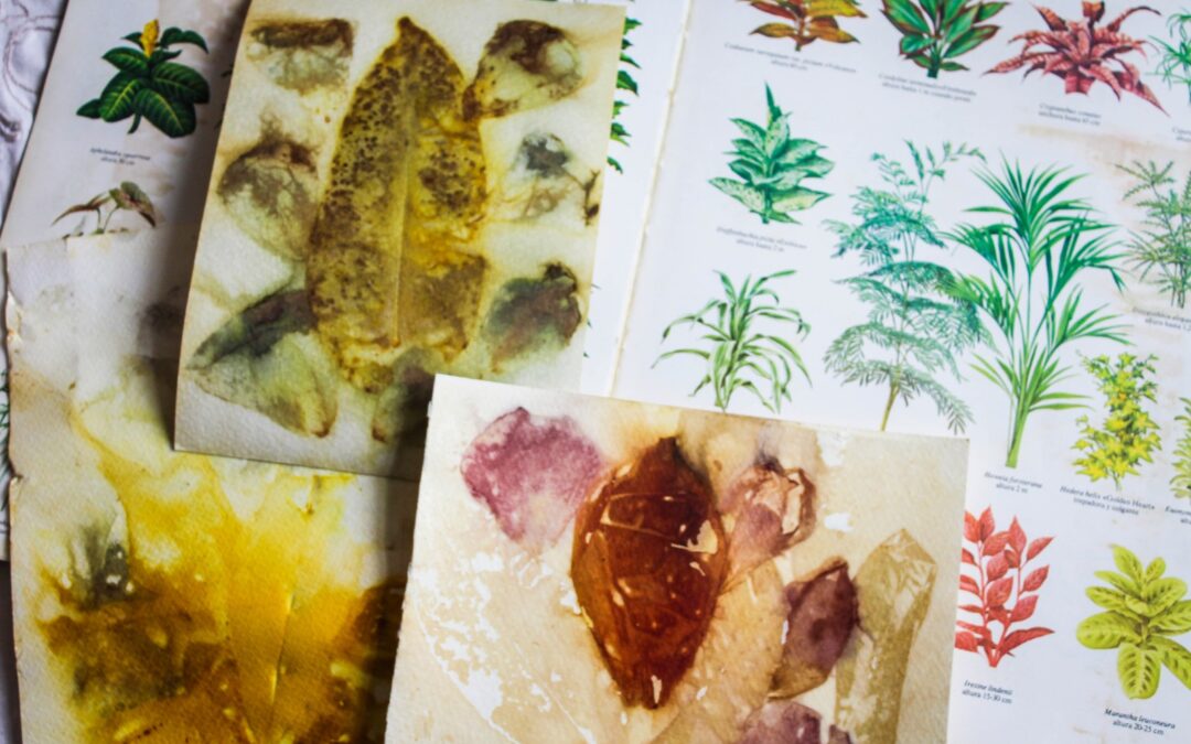 Círculo de Lectores Perú - La aventura de leer 4 Arte sostenible y saberes botánicos: talleres presenciales en Barranco